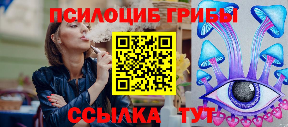 Псилоцибиновые грибы Psilocybine cubensis Стрежевой