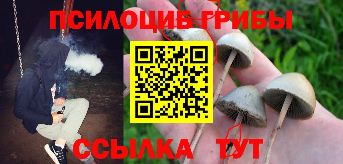 купить   Вход с VPN  Стрежевой  Галлюциногенные грибы MAGIC MUSHROOMS 
